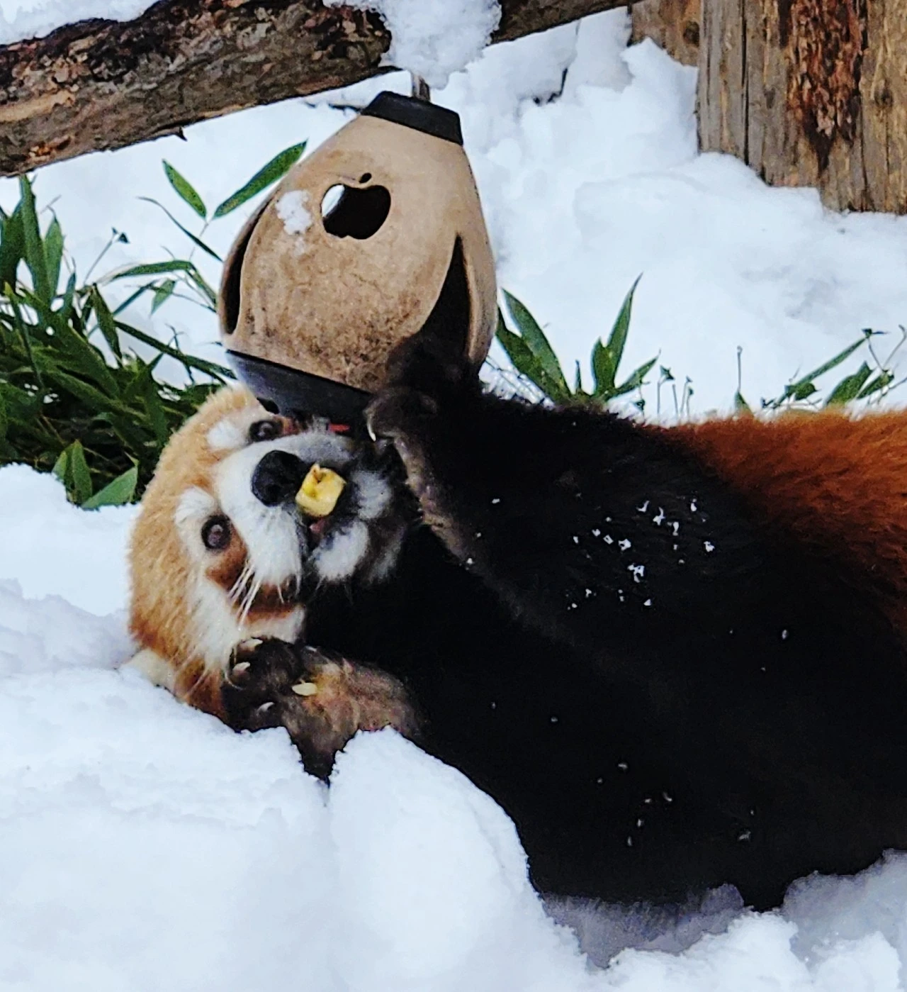 SE-67ce1c8d-ba43-11ee-94ef-2b63ca48e44d.jpg?type=w1600