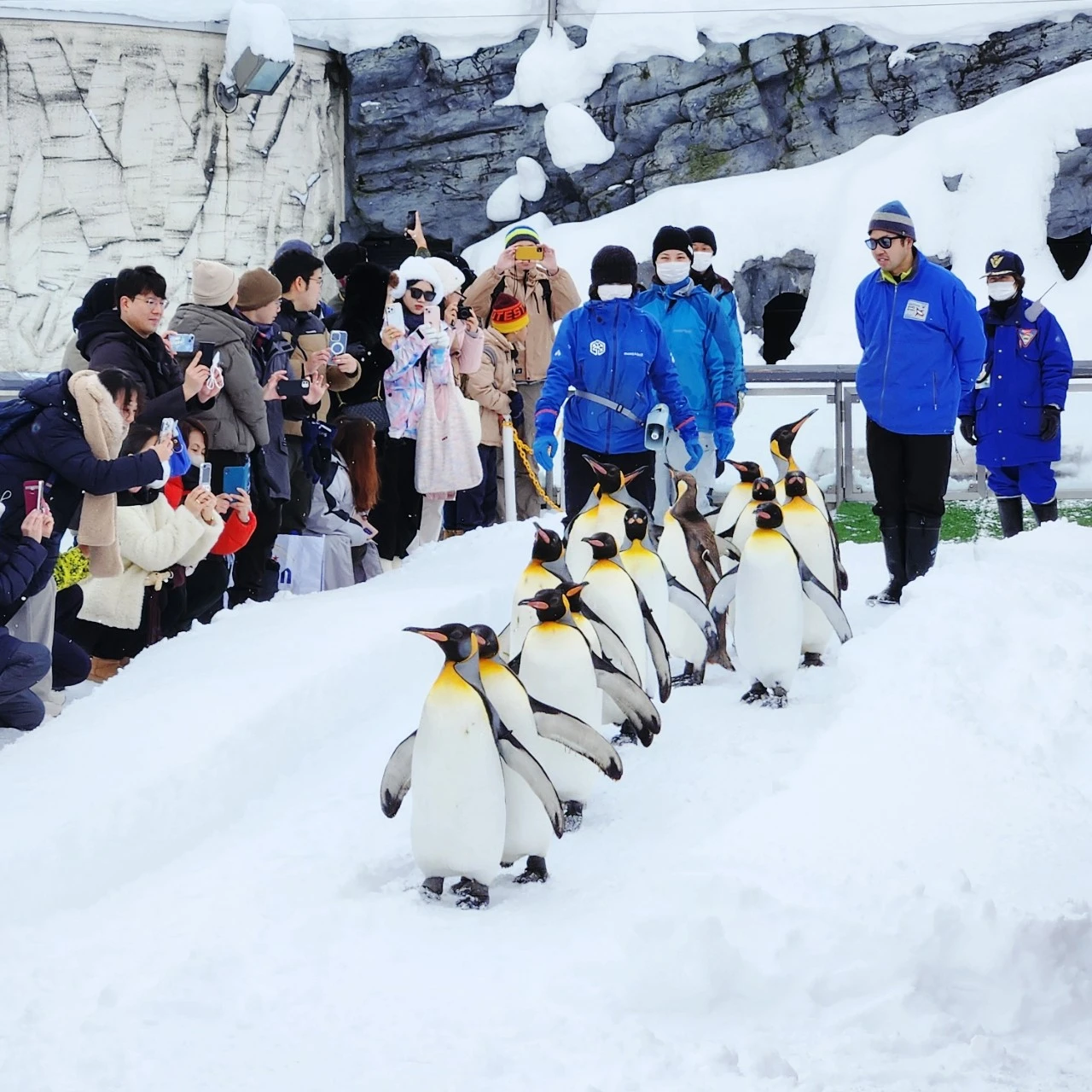 SE-67c9d6c3-ba43-11ee-94ef-41b8f279c199.jpg?type=w1600