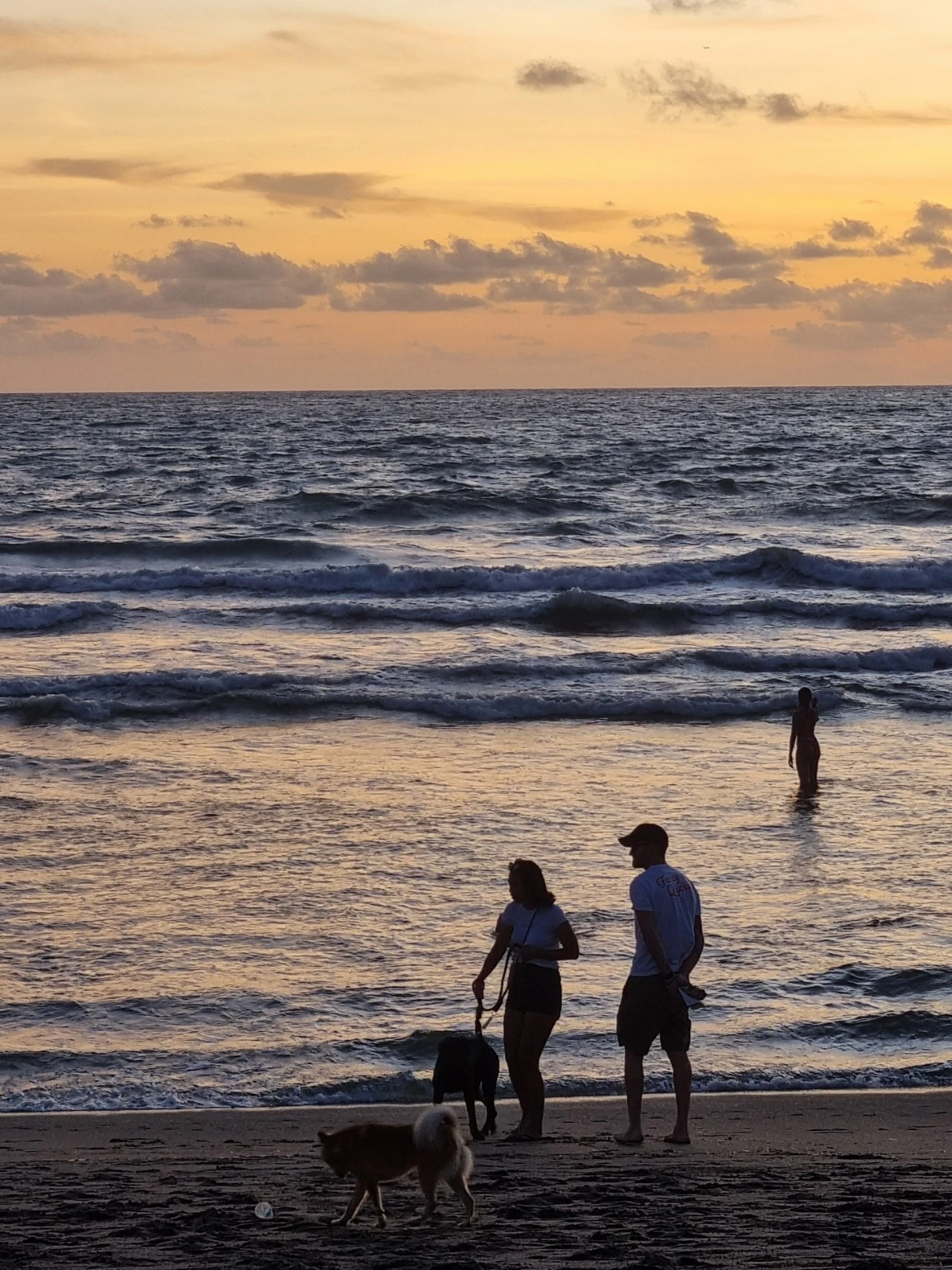 20230113%EF%BC%BF184825.jpg?type=w1600