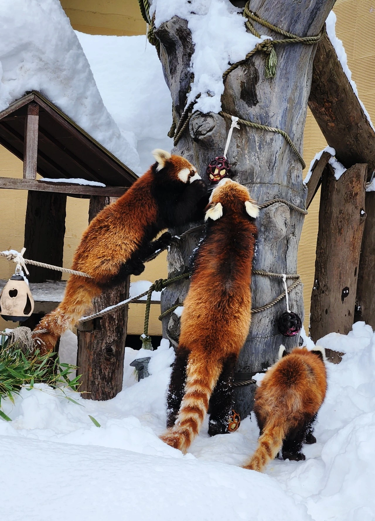 SE-67cf7c20-ba43-11ee-94ef-276c7f88522c.jpg?type=w1600