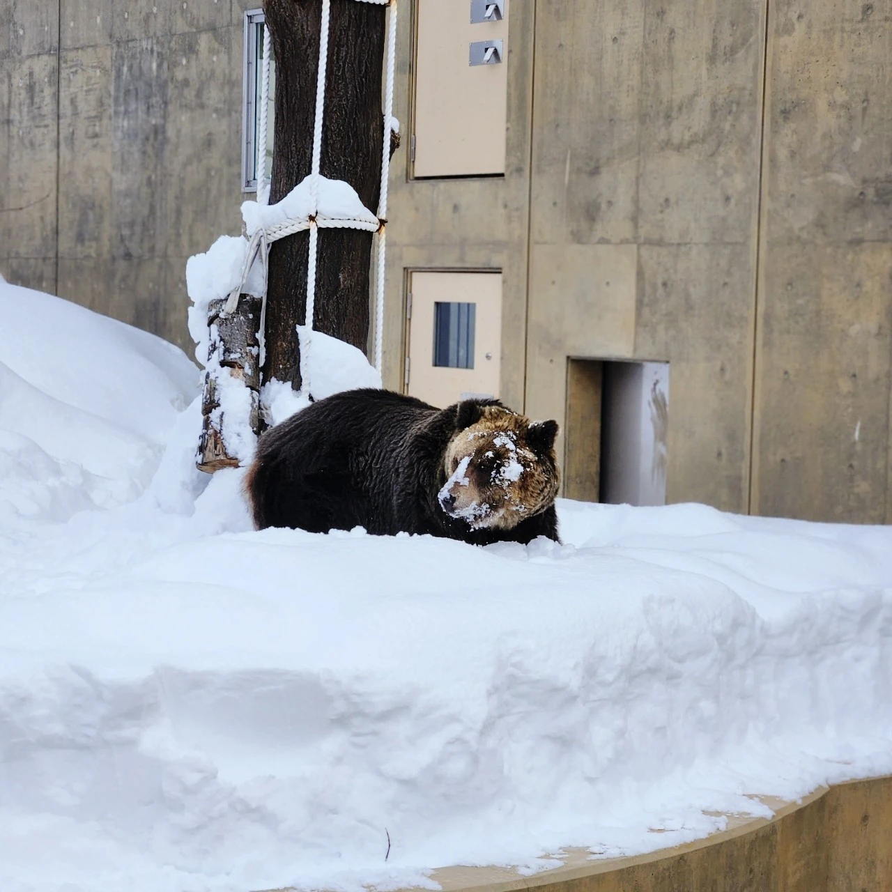 SE-67d102c4-ba43-11ee-94ef-4da01b8d4977.jpg?type=w1600