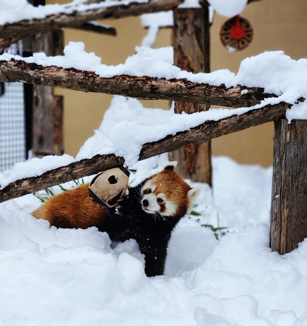 SE-67cd0b1a-ba43-11ee-94ef-7d63f9f4c4f8.jpg?type=w1600