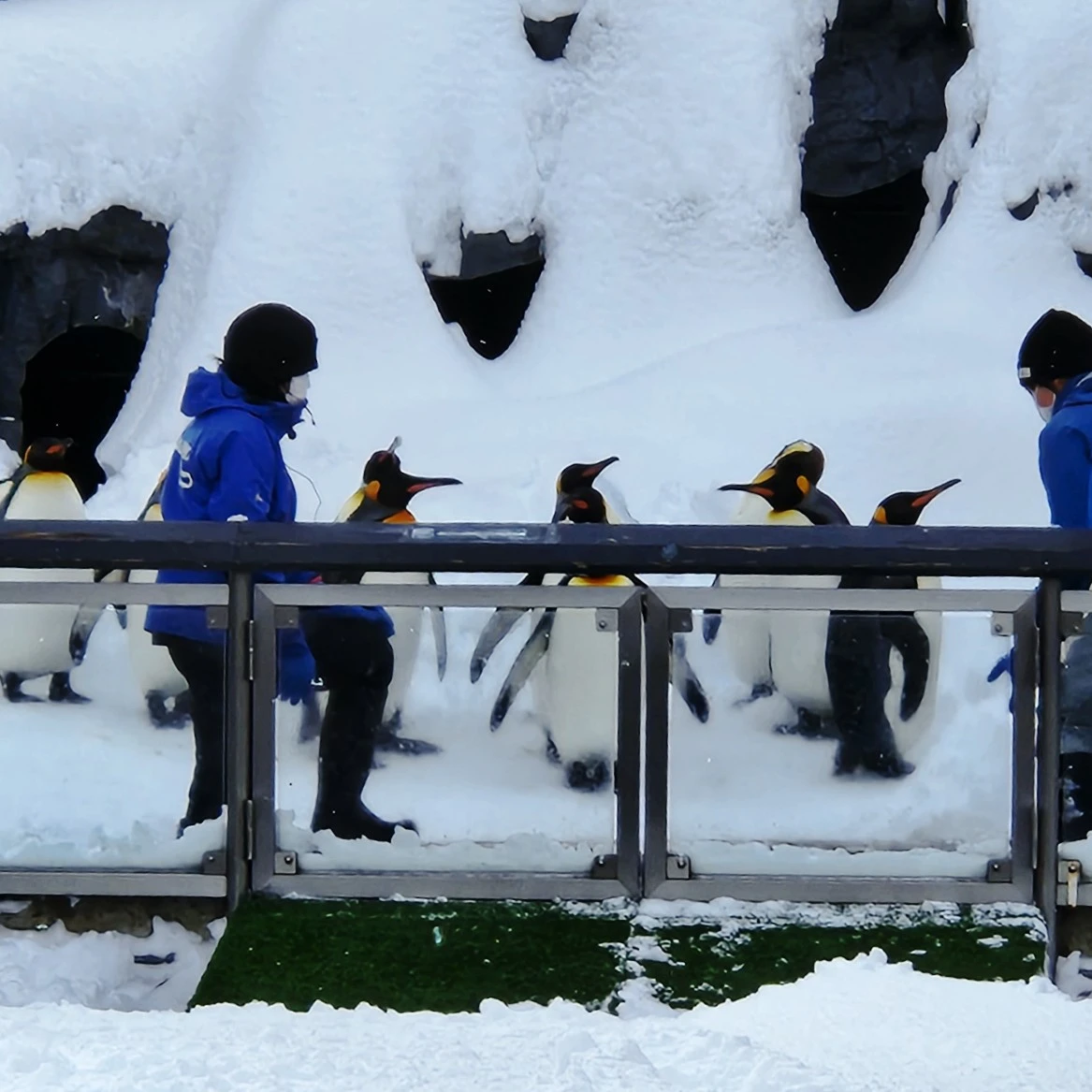 SE-67c8ec61-ba43-11ee-94ef-6f587073e731.jpg?type=w1600