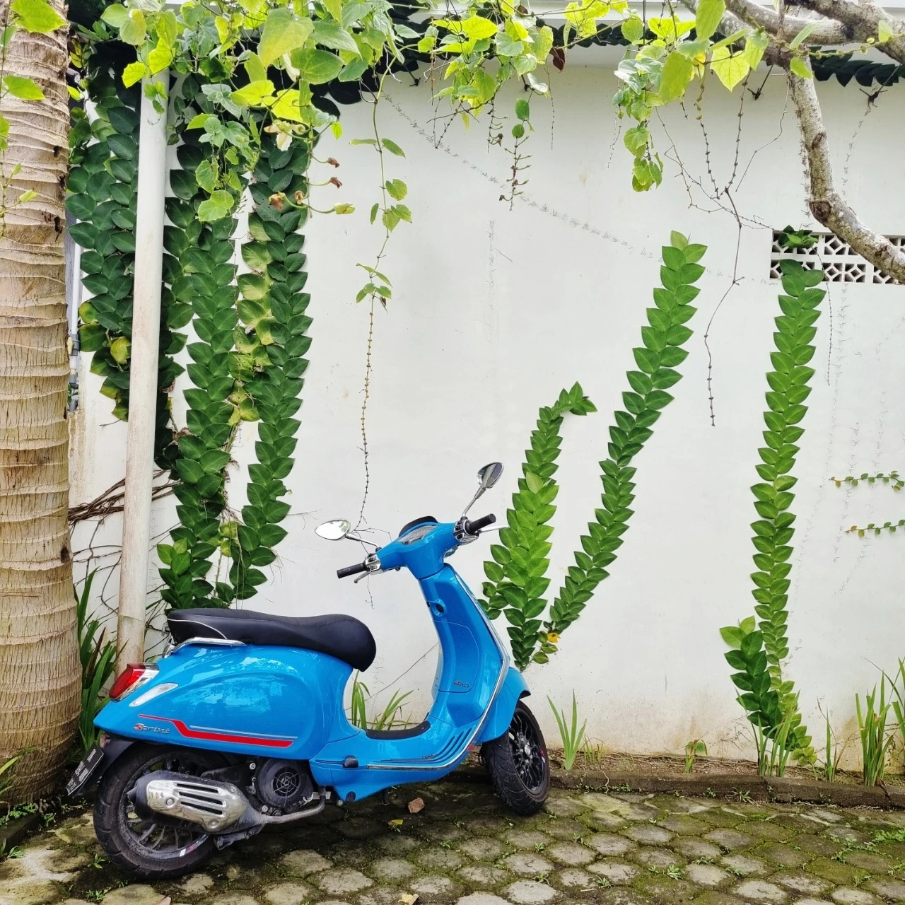 SE-74331976-9735-11ed-bd75-e3c0e857eb2c.jpg?type=w1600