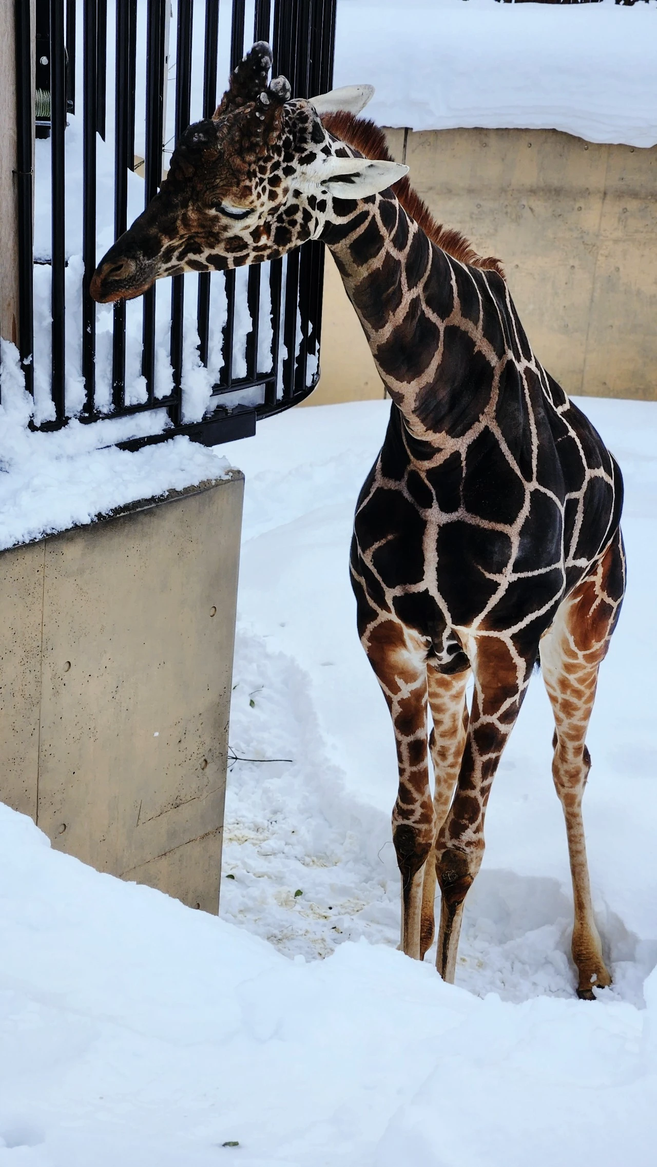 SE-67d1c619-ba43-11ee-94ef-6ba6b7a64bc3.jpg?type=w1600