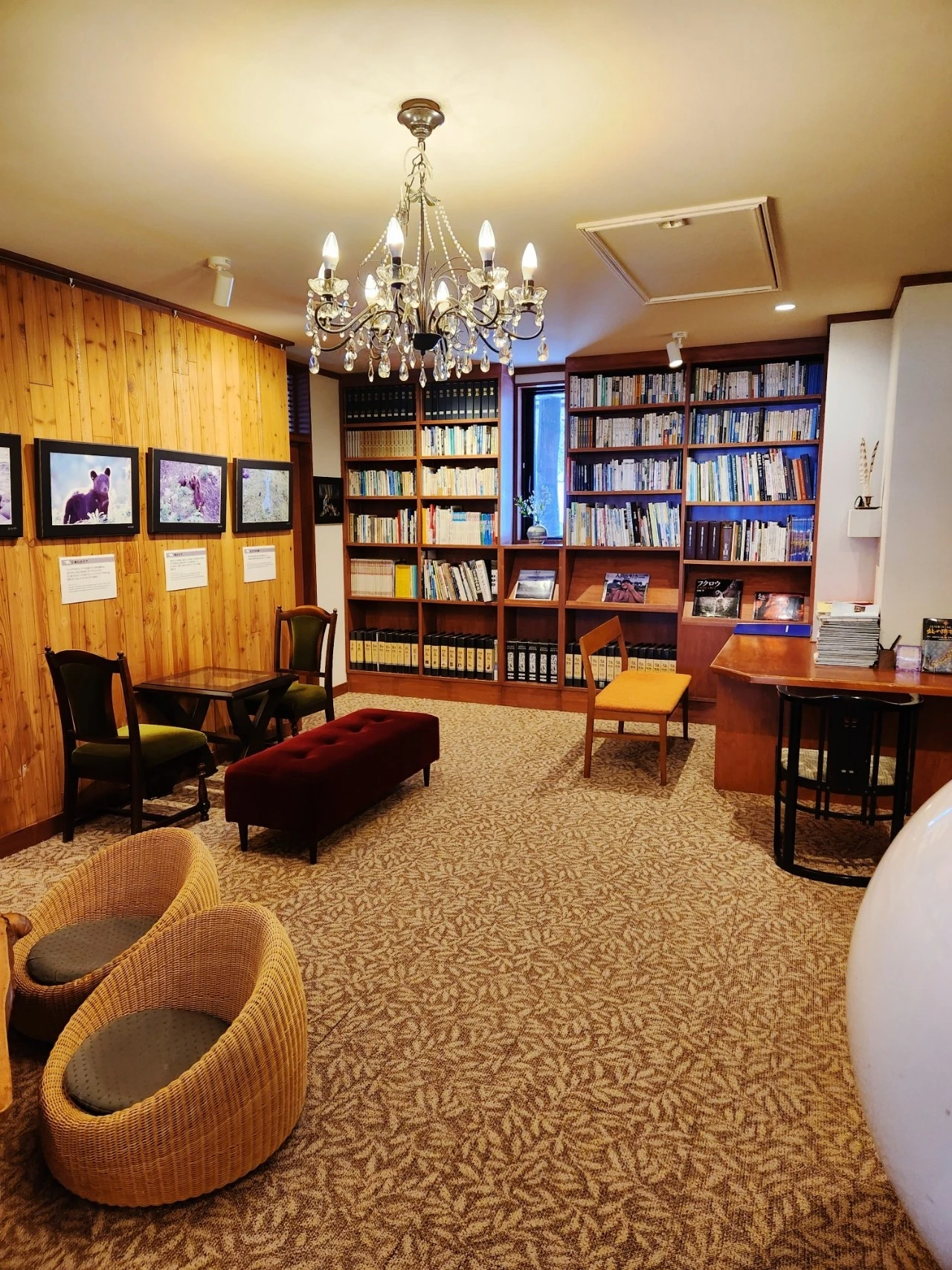 1705914393615.jpg?type=w1600