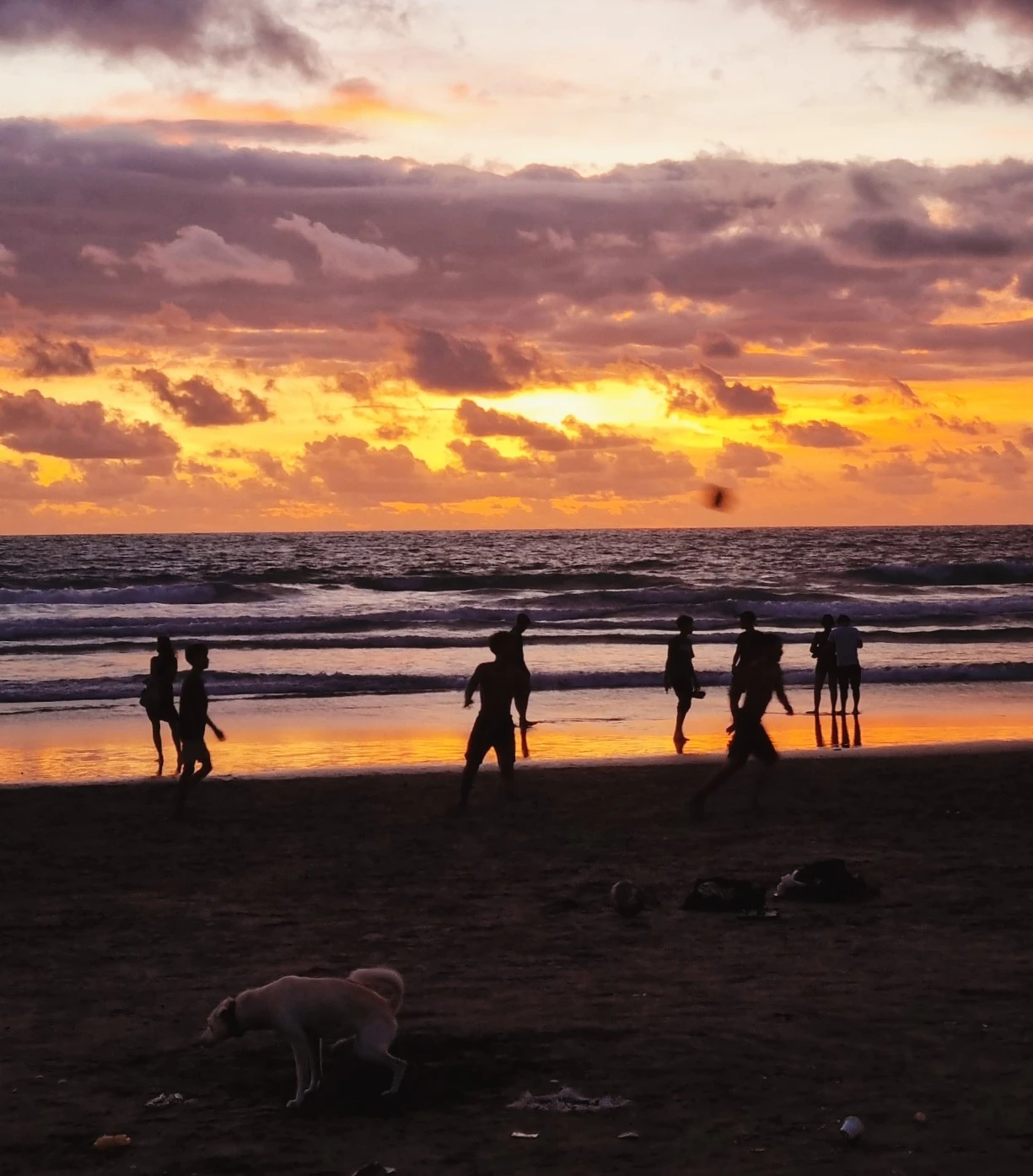 SE-d1bf3439-9a60-11ed-896f-e909f185fc59.jpg?type=w1600