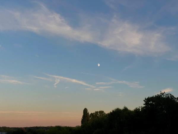 0807_프랑크프루트 오후 산책1.JPG