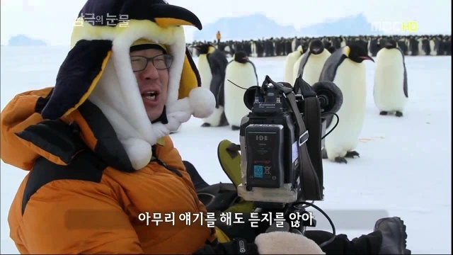 800x379%BF%AA%B0%FC%B1%A4.jpg?type=w966