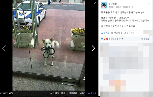 %C1%D6%C0%CE%C0%CC_%B5%C7%BE%EE%C1%E0.JPG?type=w966