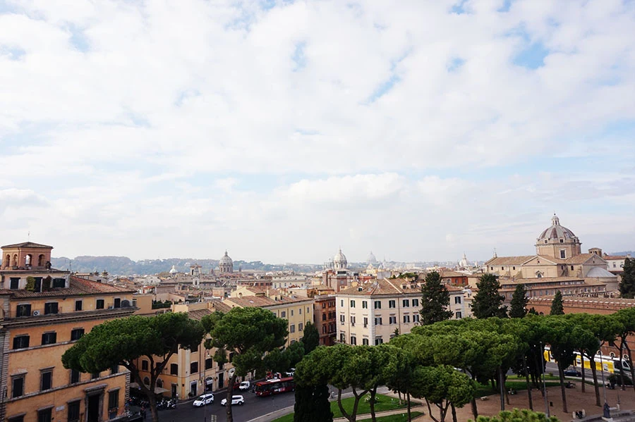 DSC02831.jpg?type=w966