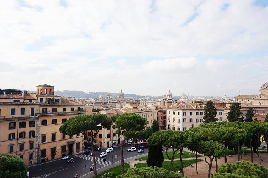 DSC02830.jpg?type=w966