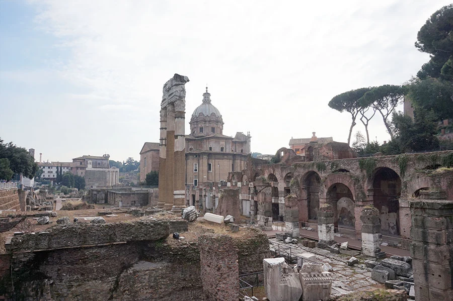 DSC02814.jpg?type=w966