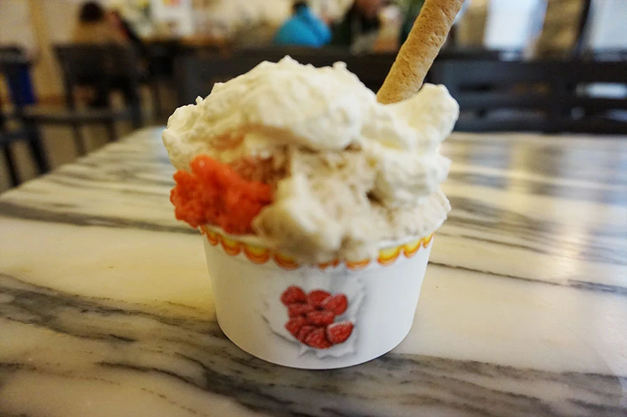 DSC02708.jpg?type=w966