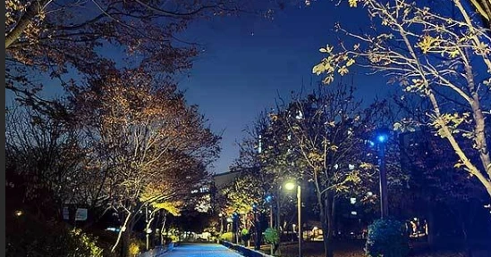 img.png?credential=yqXZFxpELC7KVnFOS48ylbz2pIh7yKj8&expires=1767193199&allow_ip=&allow_referer=&signature=FSM5Ye5%2FNsUYat6Rt5L1yXDEtGw%3D