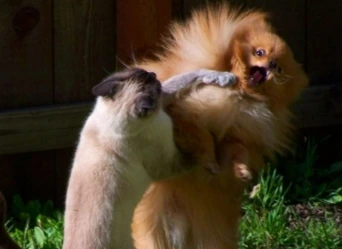 img.png?credential=yqXZFxpELC7KVnFOS48ylbz2pIh7yKj8&expires=1759244399&allow_ip=&allow_referer=&signature=UJ4eMW3CgRQ3X%2F11quRocvuFVbc%3D