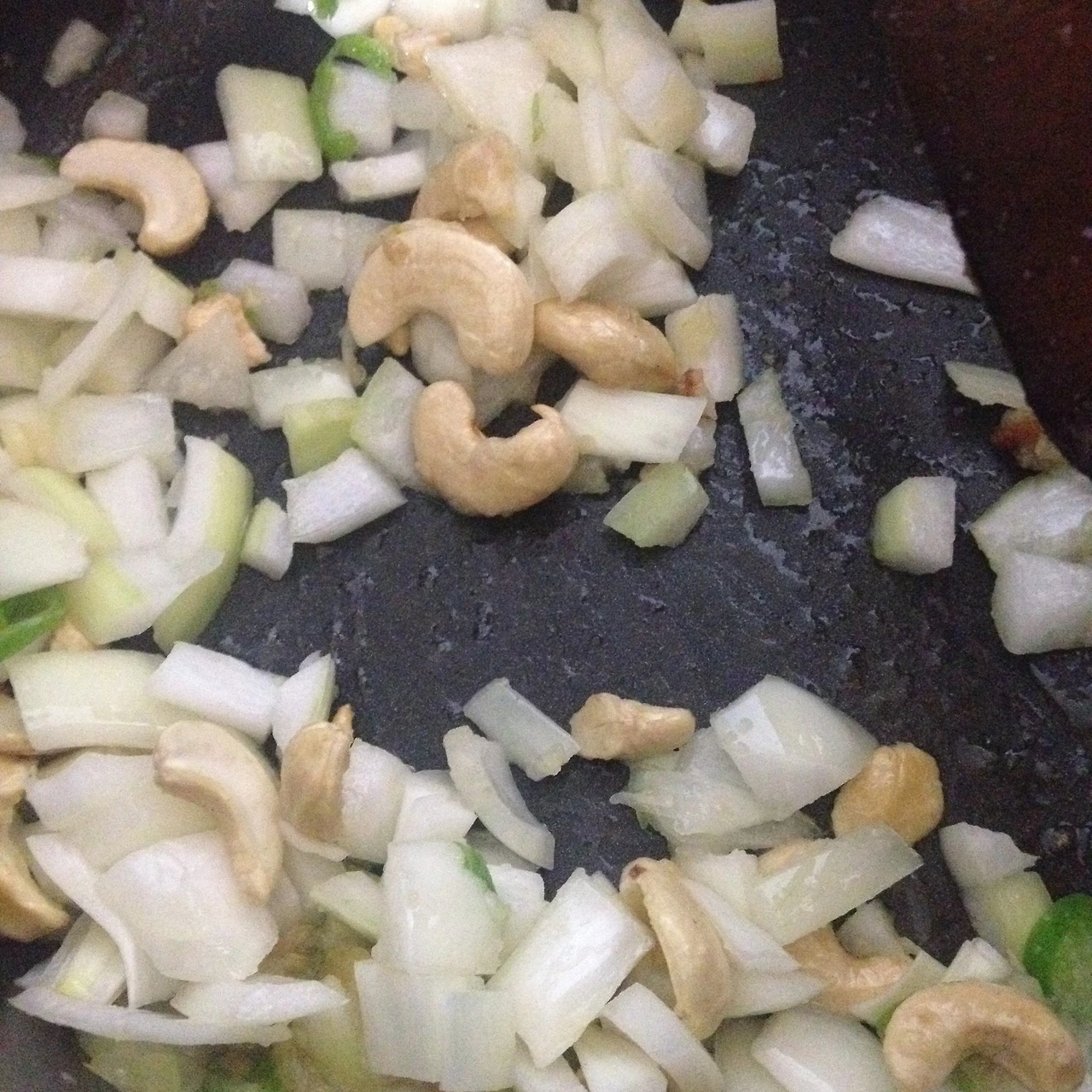 팔락파니르 016.JPG