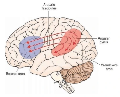 Screen-Shot-2020-01-17-at-16.51.23.png?resize=457%2C368&ssl=1