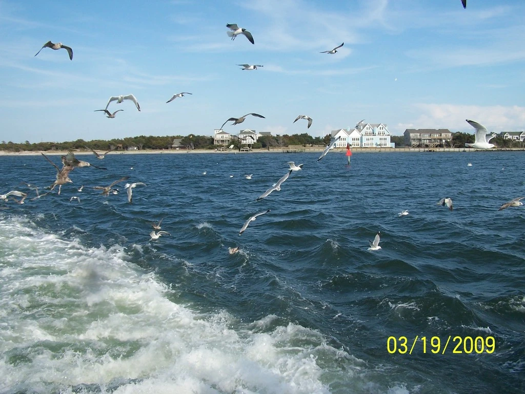 2709E54958C3517C32ED7B