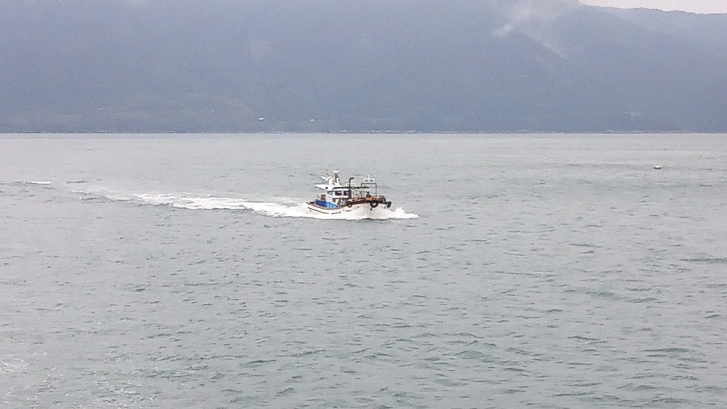 99D3AD505B9B2EAF2EC45A