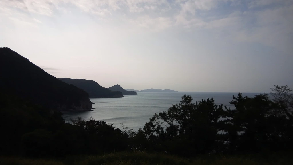 99315E4A5B9A30D20E92F3