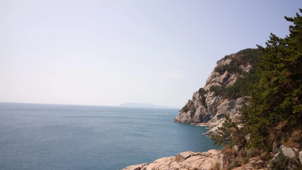 99F0DB4B5B9B2EA42B4DE1