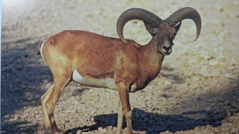 99E1C83F5AA0DED90BFBF4