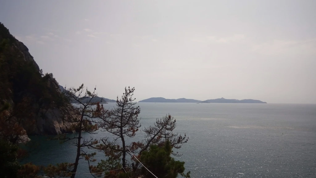 9936254D5B9A338B085692