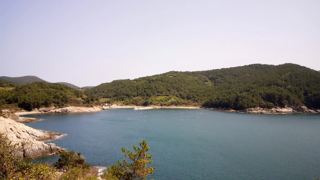 9957304B5B9B2EA1246AB5