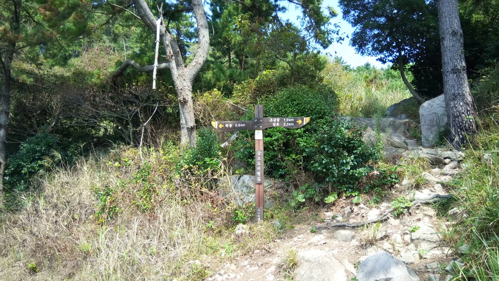 994899505B9B2EAA274BFB