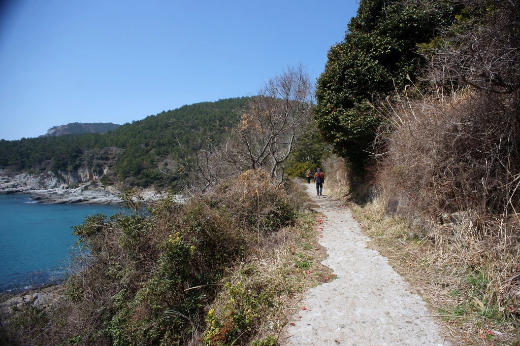 99A1773A5ABB56F009DEFB