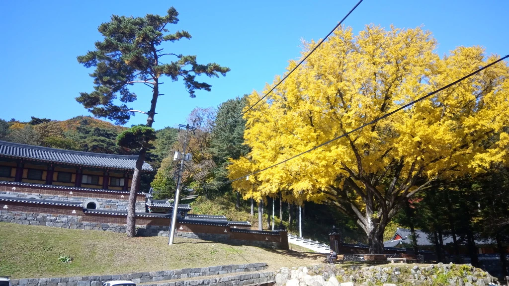 99C66E3E5BCBE80514B470