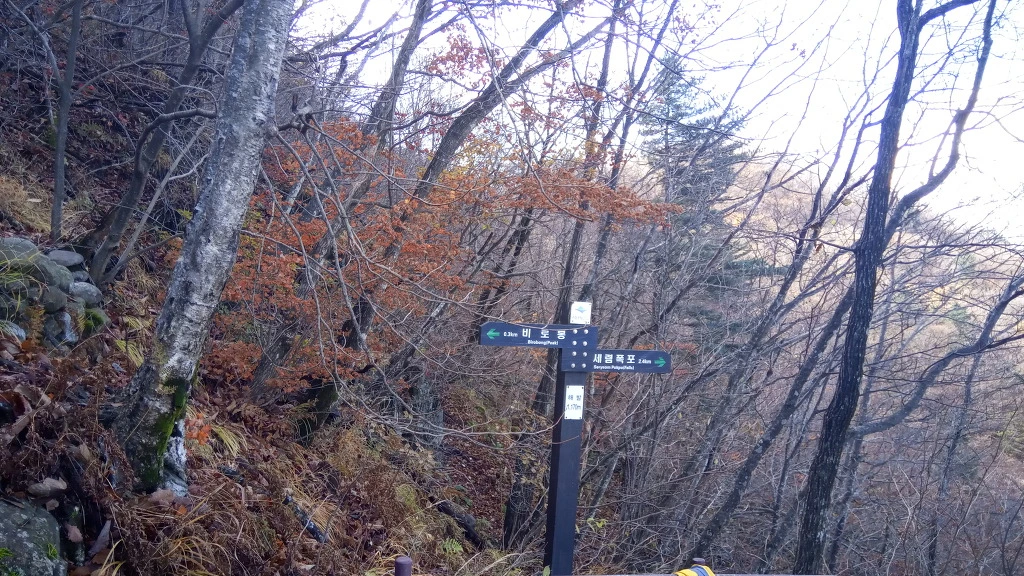 997570375BCBEB170115C4