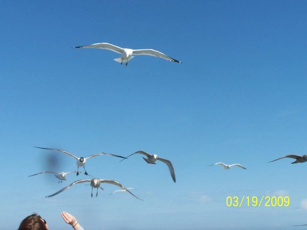 2516C74958C3517A2C4EEE