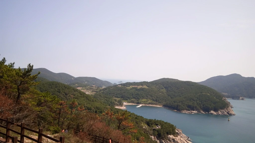 99B97B4D5B9A33902E105B