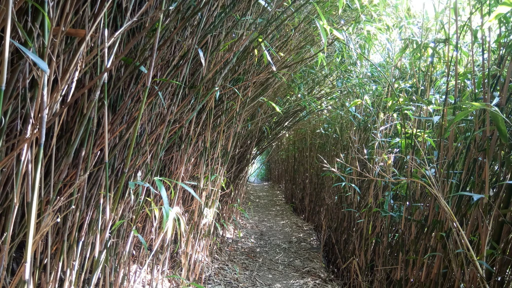 99BB84485B9A338221843E