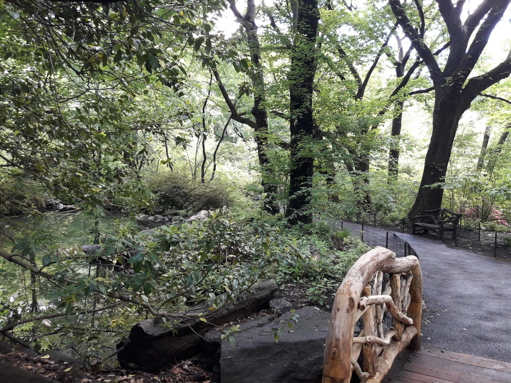 247A4636592F2E7D2CF33F