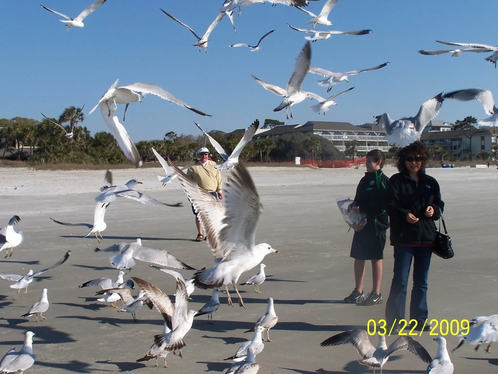 272B575058C351802B2D4A