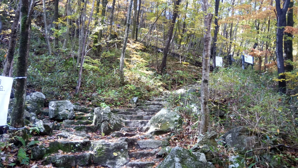 9930E03E5BCBE80911116D