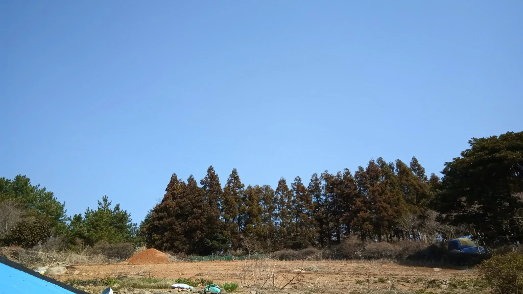 990EC5365ABB43E51F461F