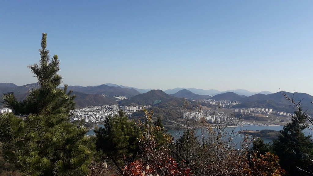 992DDE335A13878D163E08