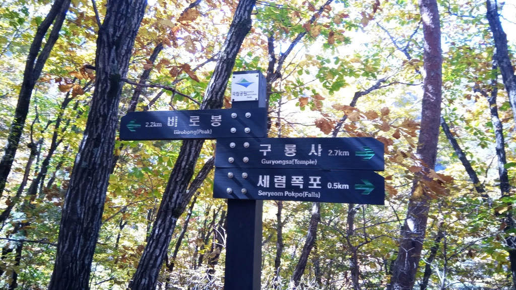 9931B73F5BCBE80B08CB3F