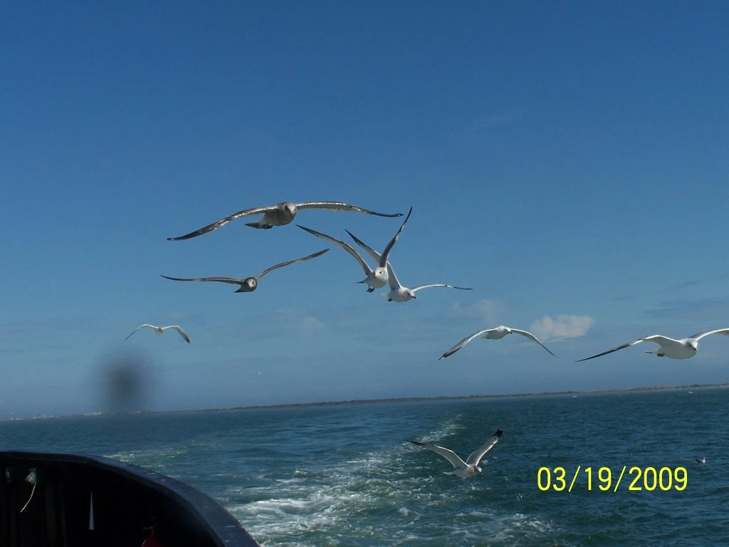 2774EB4958C351793BDAD5