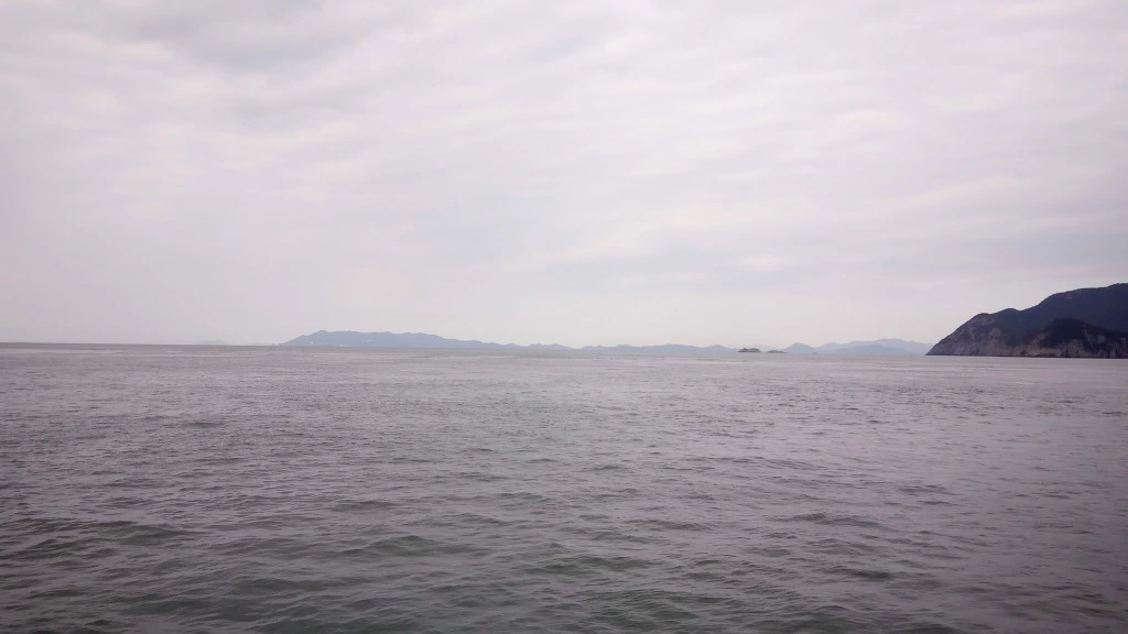 99483C485B9A30CB1D208B