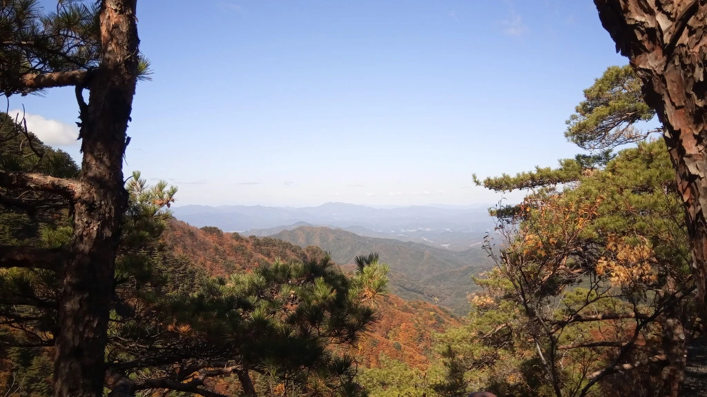 9909F33F5BCBE81109CA7B