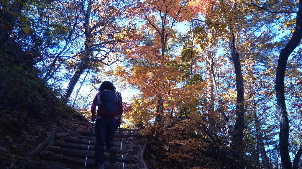 997B013F5BCBE80D0D5BF7