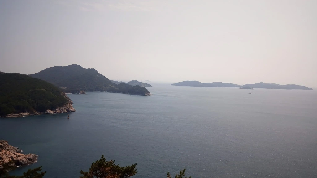 9943154D5B9A338E06F18A