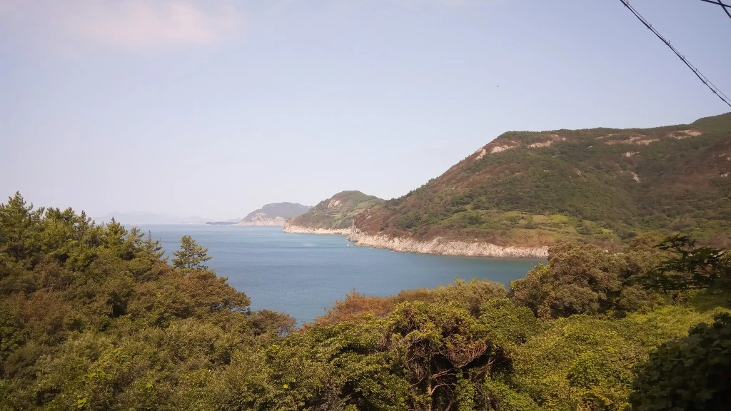 991384485B9A338419EBA1