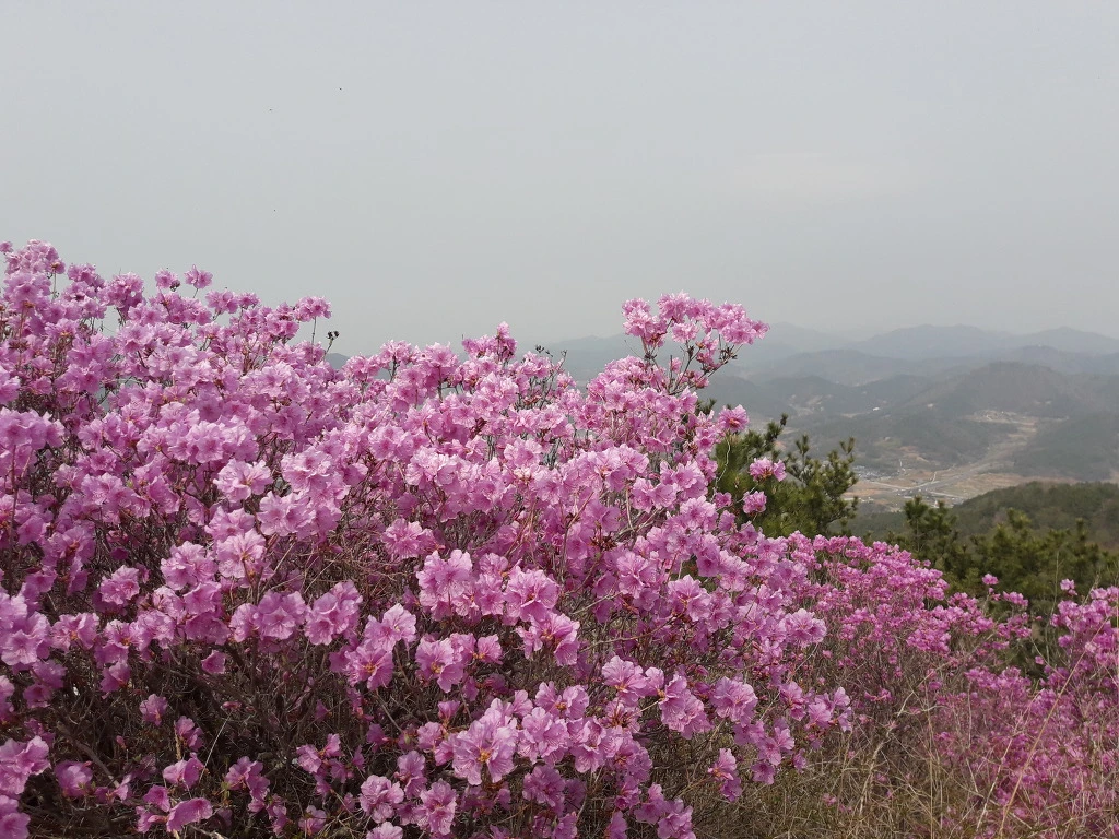 994E643E5AC0CE160A427F