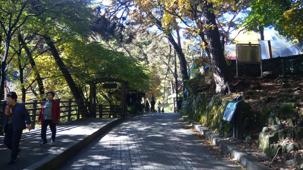 99AED13E5BCBE8030DCAEB